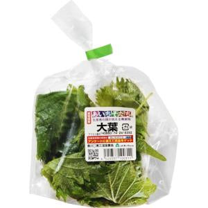 毎日の食卓白たまご　４個入